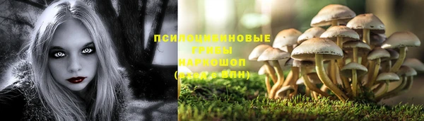 прущий лед Аркадак