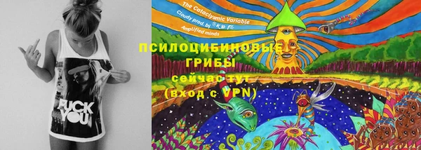 мескалин Арсеньев