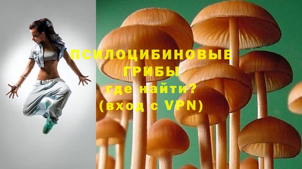 мяу мяу мука Армянск